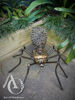 Steampunk Spider Large