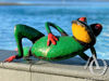 Frog sunbathing