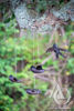 Scrap Metal Garden Art Swallow Hanging