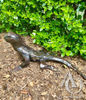 Metal Tuatara Lizard Sculpture Garden Art