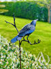 Scrap Metal Garden Art Tui on a Branch