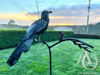 Scrap Metal Garden Art Tui on a Branch