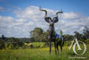 Kudu Antelope Metal sculpture