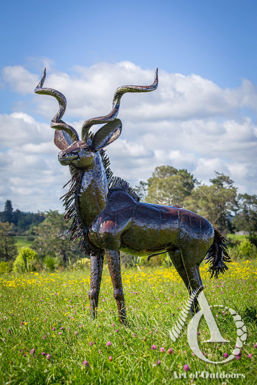 Kudu Antelope Metal sculpture