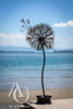 Giant Dandelion in the Wind sculpture
