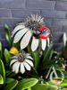 Daisy Stem with Ladybug - 3D