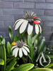 Daisy Stem with Ladybug - 3D