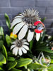 Daisy Stem with Ladybug - 3D