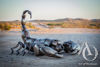 Scorpion Giant Metal Sculpture
