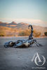 Scorpion Giant Metal Sculpture