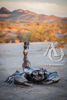 Scorpion Giant Metal Sculpture