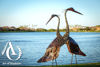 Twisted Heron