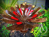 Phoenix Bloom Scrap Metal Sculpture