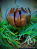 Fire Lily Scrap Metal Sculpture