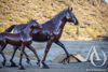 Metal Mare and Foal Sculpture