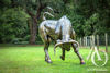 Scrap Metal Bull Life Sized