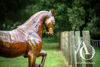 Metal Dressage Horse Sculpture