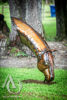 Metal Drinking Horse Sculpture