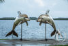 Metal Dolphin Sculpture
