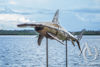 Metal Hammerhead Shark Sculpture